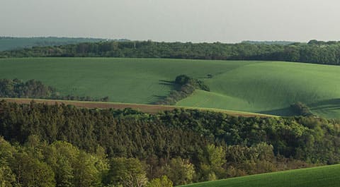 Bild von grünen Landschaft und Hügeln